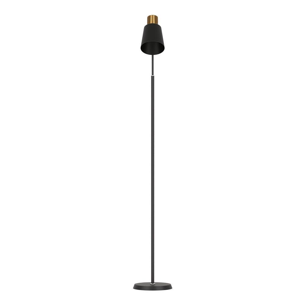 Slim black floor lamp with a metal frame and weighted base